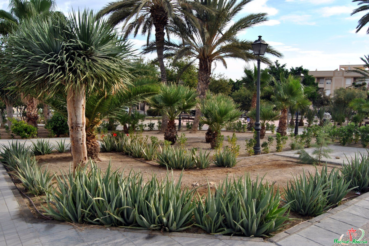 Parque barrio de Las Flores