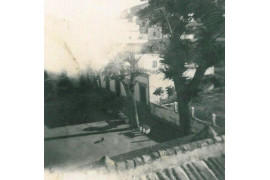 Vista de la Plaza de Huércal desde la torre de la iglesia. 1956