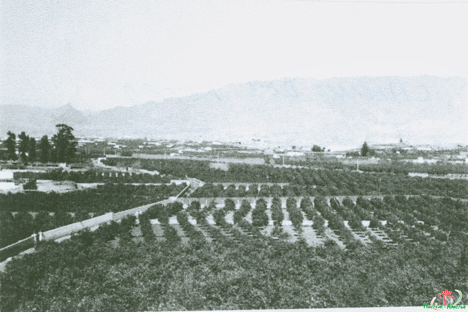 La vega de Huércal de Almería. 1944