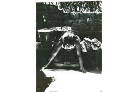 Lavandero de los Peñoncillos.1950/1959